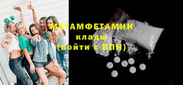 прущие грибы Ладушкин