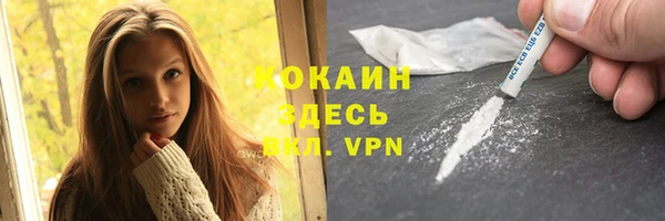 прущие грибы Ладушкин