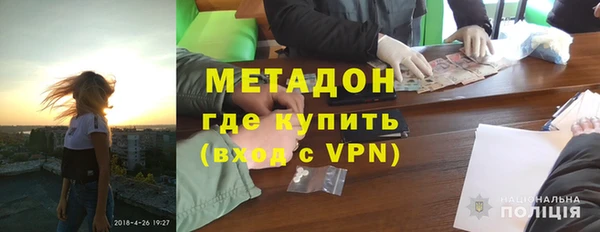 прущие грибы Ладушкин