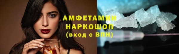 прущие грибы Ладушкин
