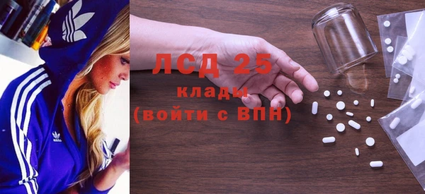 прущие грибы Ладушкин