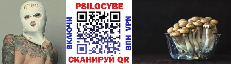 Галлюциногенные грибы Cubensis  Малгобек 